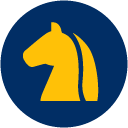 racing icon