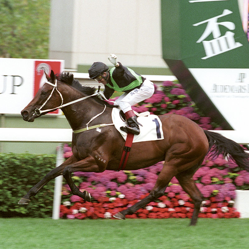 2015年，「精英大師」創下17連勝的香港紀錄，並登上世界純種競賽馬匹排名榜首。牠的連勝紀錄至今仍未被打破。