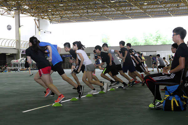 Cardiovascular efficiency - 20m shuttle run