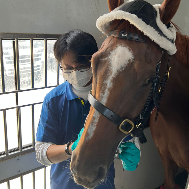 Senior Tavelling Groom So Wing-lung regularly accompanies racehorses on trips between Sha Tin and Conghua. (Photo provided by interviewee)