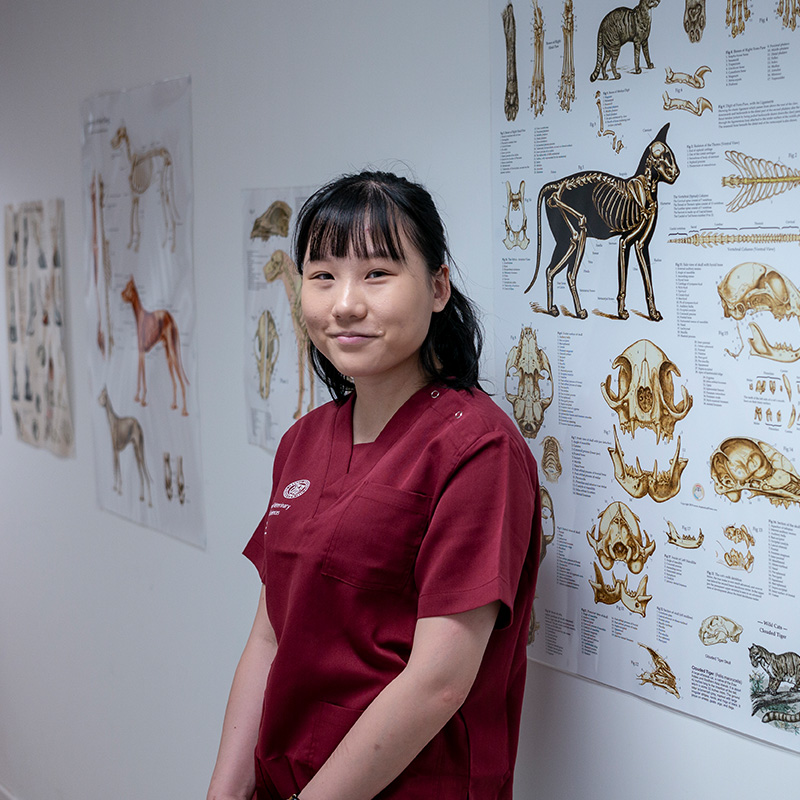Monica Chan says the connection between animals and humans is reciprocal. Humans must take better care of the environment and animals if they want better health for themselves, she adds.