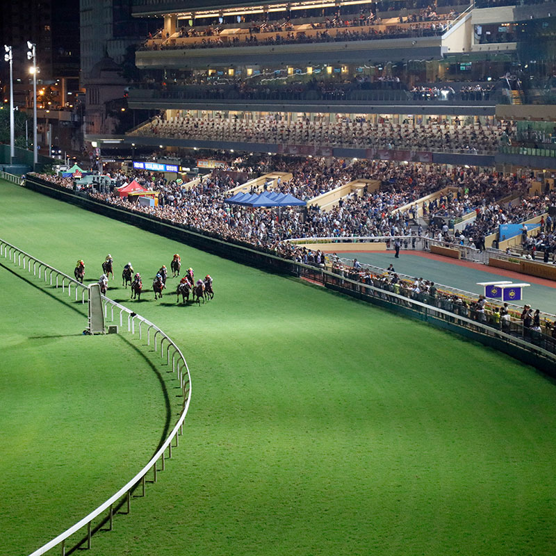 Andrew says the roaring energy of night racing at Happy Valley Racecourse brings the best out of his presenting work.