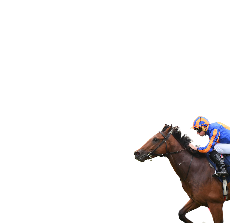 參賽馬匹– 浪琴香港短途錦標- 浪琴香港國際賽事2023 - 香港賽馬會
