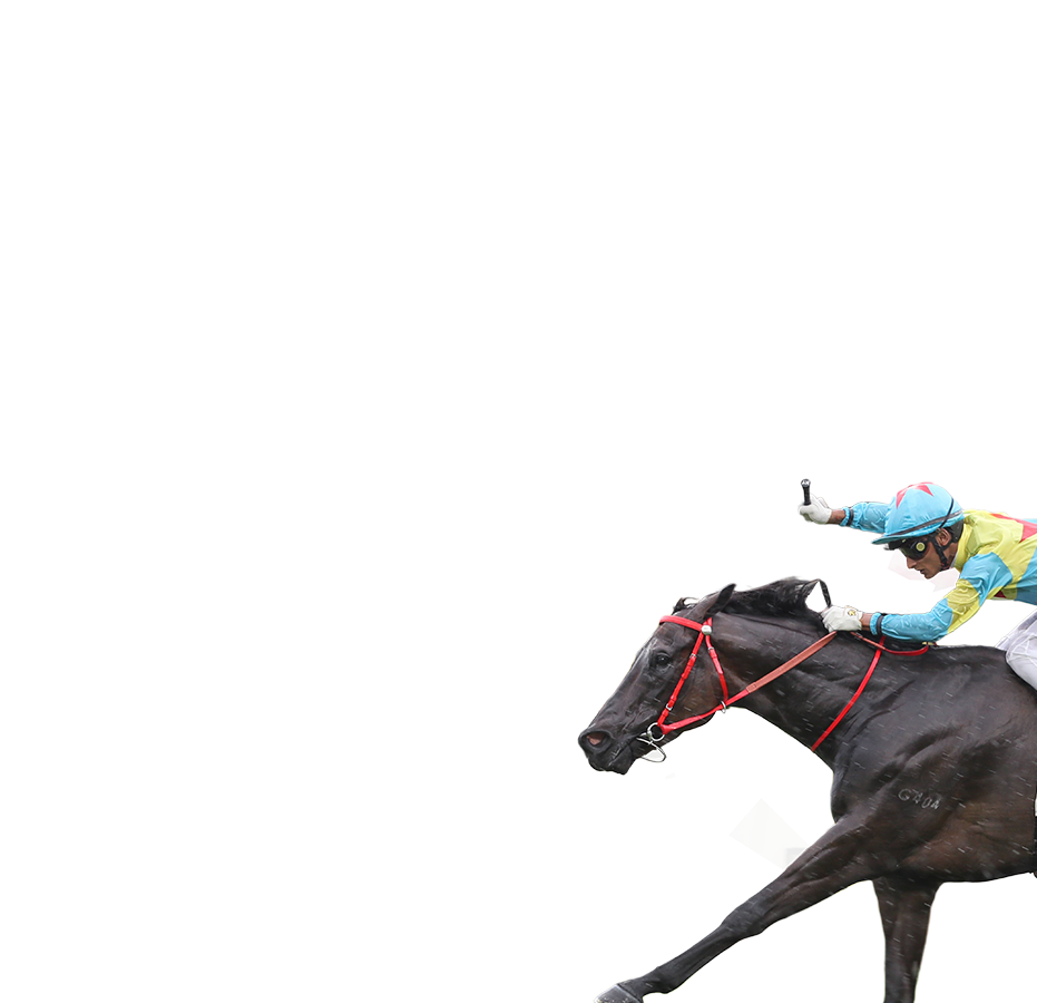 參賽馬匹– 浪琴香港短途錦標- 浪琴香港國際賽事2023 - 香港賽馬會
